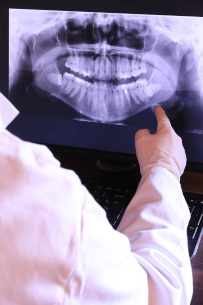 Best Emergency X-Rays and Diagnostics in Omaha, TX